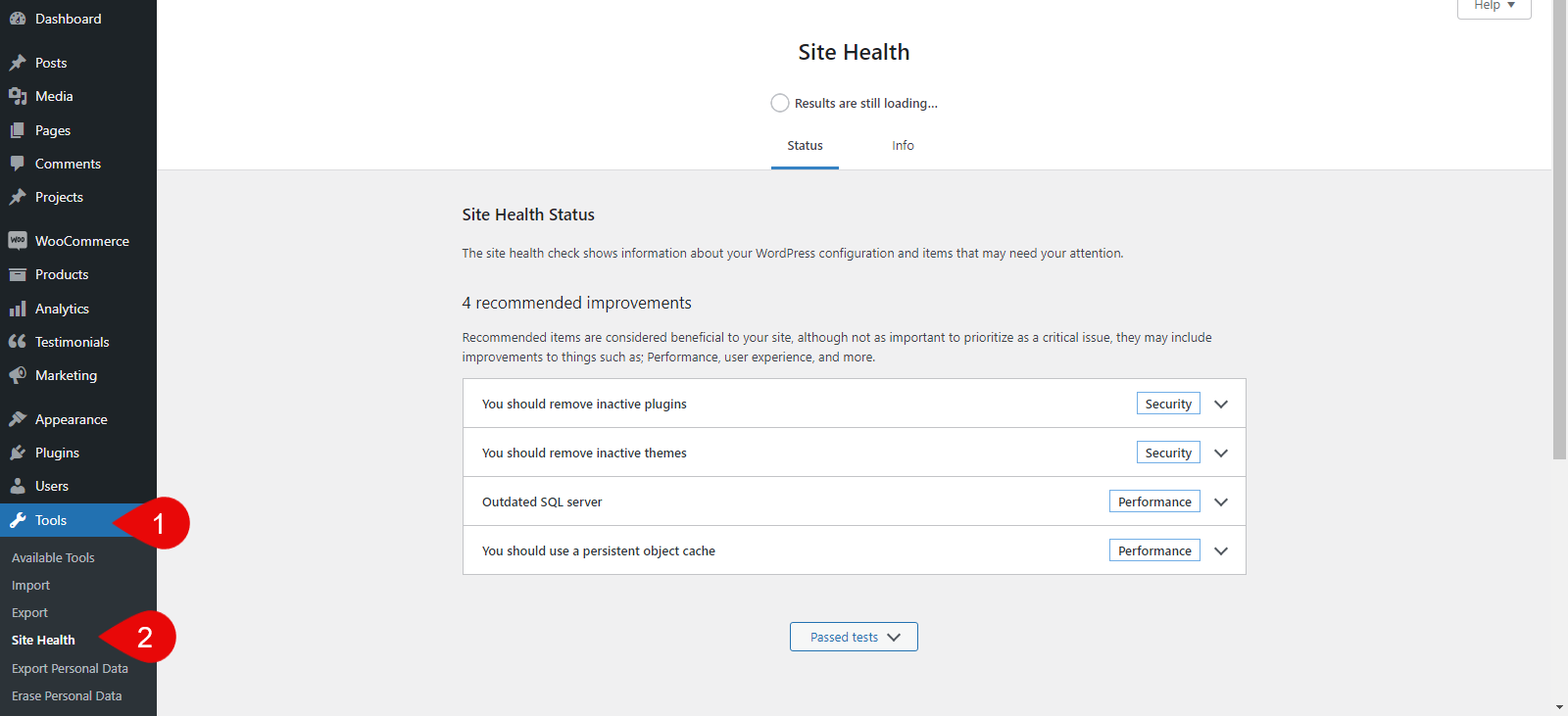 accessing-the-site-health-wordpress-function